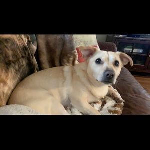 Meet your Posher, Briona